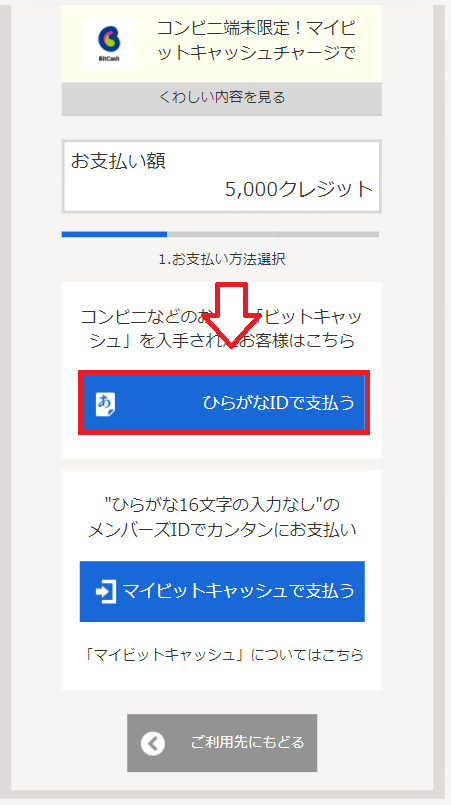 【スマホ版】ビットキャシュでFC2ポイントを購入する手順8