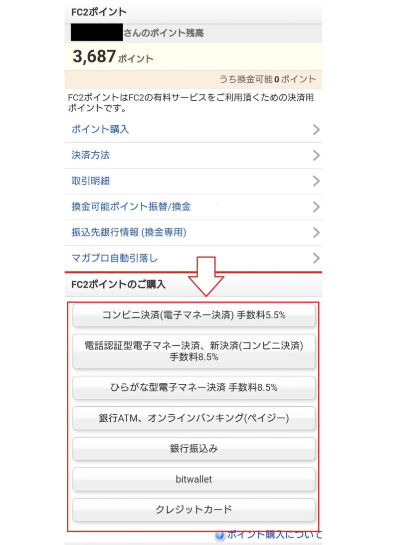 FC2ライブポイント購入2